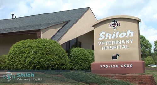 Shiloh Veterinary Hospital in Kennesaw, GA